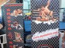 View The Fights Album